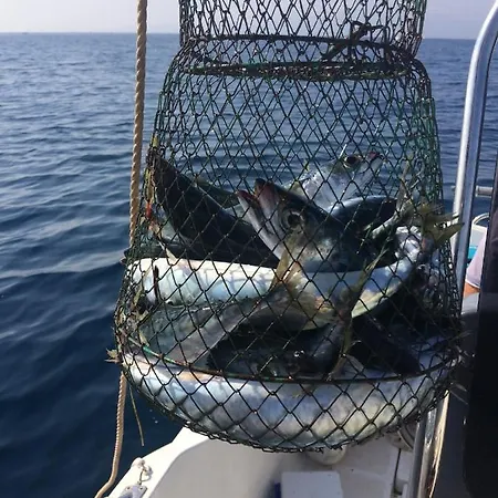 Marina Les Pieds Dans L Eau Le Barcarès